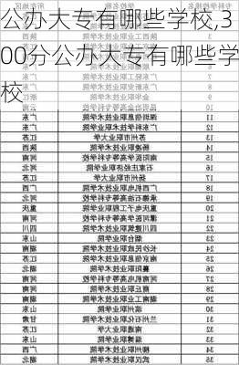 公办大专有哪些学校,300分公办大专有哪些学校