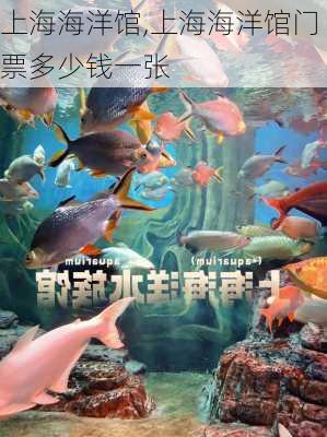 上海海洋馆,上海海洋馆门票多少钱一张