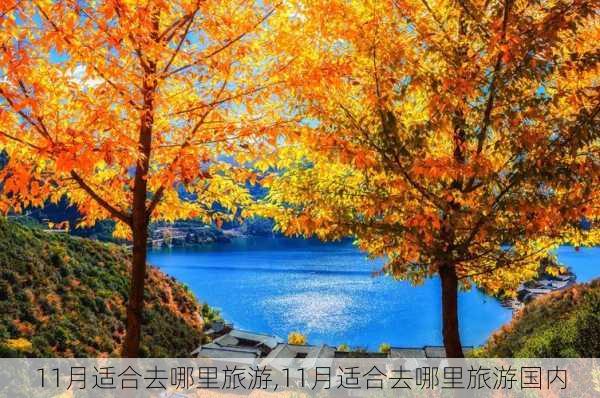 11月适合去哪里旅游,11月适合去哪里旅游国内