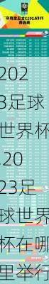 2023足球世界杯,2023足球世界杯在哪里举行