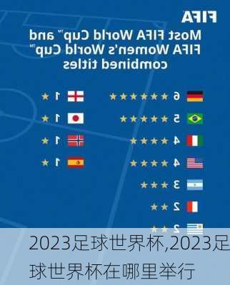 2023足球世界杯,2023足球世界杯在哪里举行