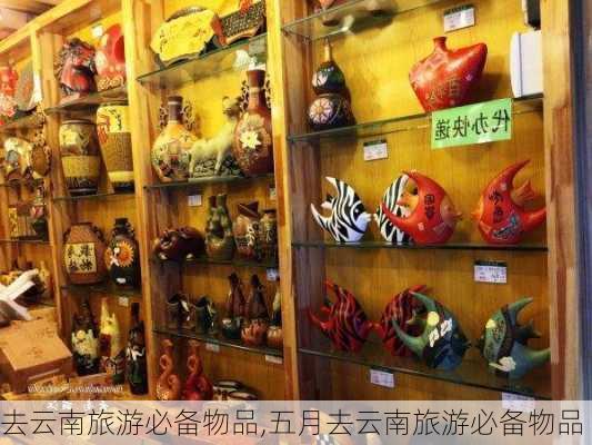 去云南旅游必备物品,五月去云南旅游必备物品