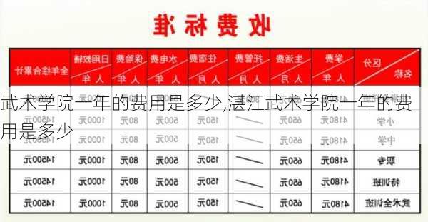 武术学院一年的费用是多少,湛江武术学院一年的费用是多少