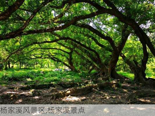 杨家溪风景区,杨家溪景点