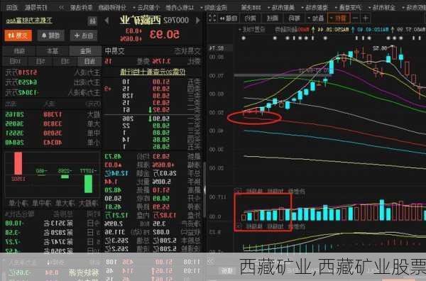 西藏矿业,西藏矿业股票