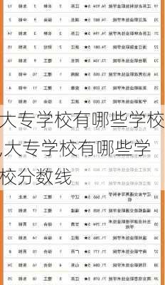 大专学校有哪些学校,大专学校有哪些学校分数线