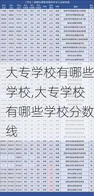 大专学校有哪些学校,大专学校有哪些学校分数线