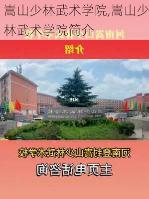 嵩山少林武术学院,嵩山少林武术学院简介