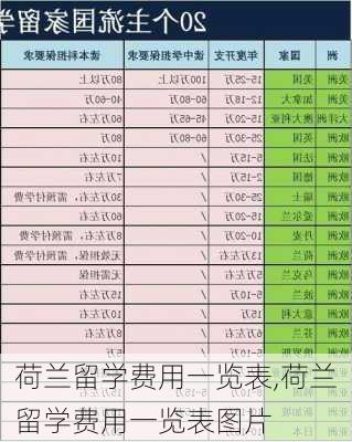 荷兰留学费用一览表,荷兰留学费用一览表图片