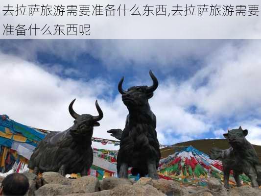 去拉萨旅游需要准备什么东西,去拉萨旅游需要准备什么东西呢