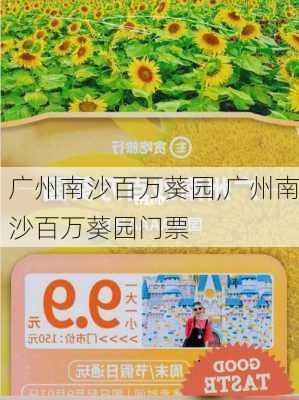 广州南沙百万葵园,广州南沙百万葵园门票