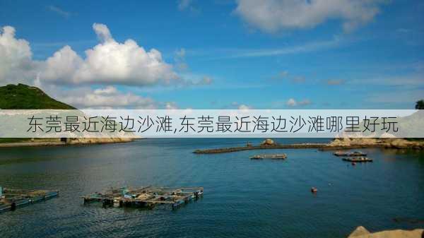 东莞最近海边沙滩,东莞最近海边沙滩哪里好玩