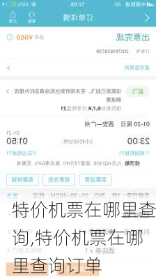 特价机票在哪里查询,特价机票在哪里查询订单