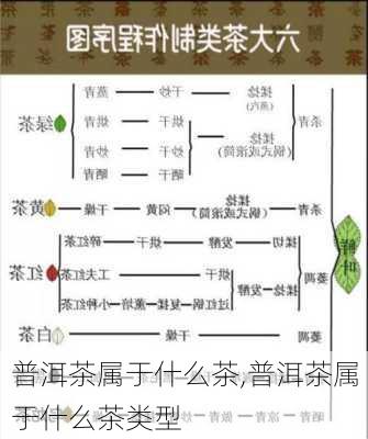 普洱茶属于什么茶,普洱茶属于什么茶类型