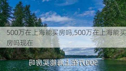 500万在上海能买房吗,500万在上海能买房吗现在