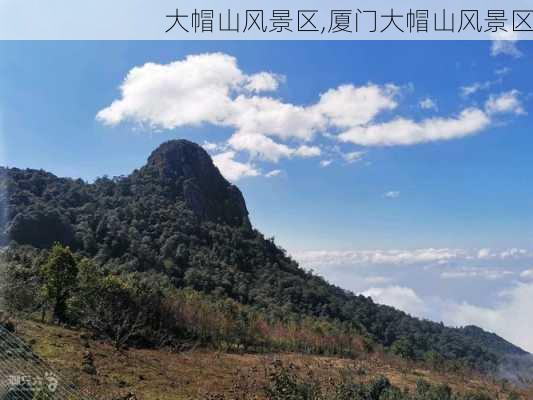 大帽山风景区,厦门大帽山风景区