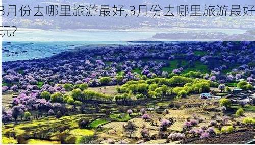 3月份去哪里旅游最好,3月份去哪里旅游最好玩?