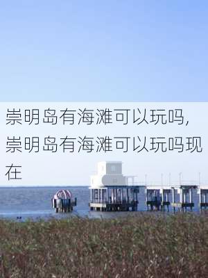 崇明岛有海滩可以玩吗,崇明岛有海滩可以玩吗现在