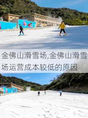 金佛山滑雪场,金佛山滑雪场运营成本较低的原因