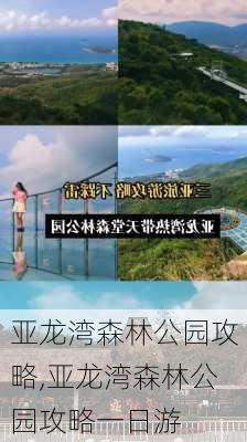 亚龙湾森林公园攻略,亚龙湾森林公园攻略一日游