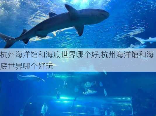 杭州海洋馆和海底世界哪个好,杭州海洋馆和海底世界哪个好玩