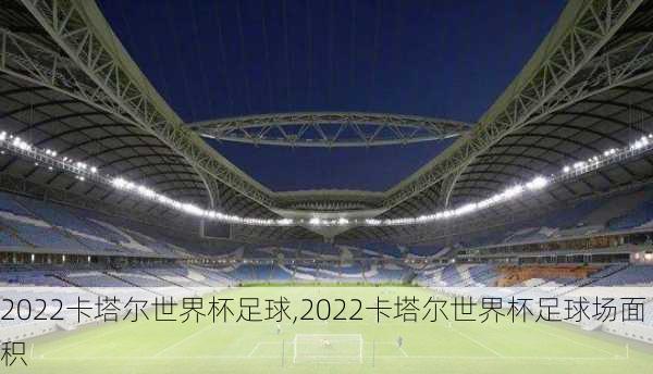 2022卡塔尔世界杯足球,2022卡塔尔世界杯足球场面积