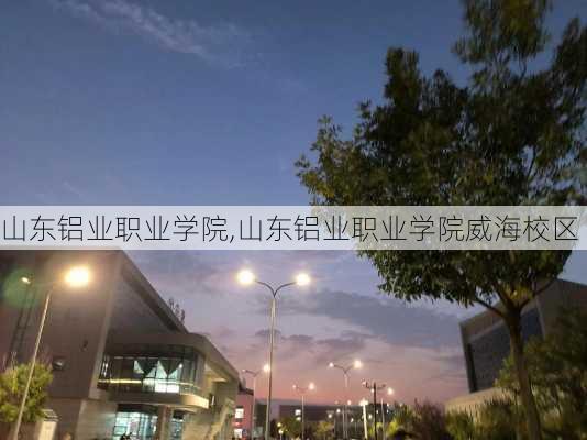 山东铝业职业学院,山东铝业职业学院威海校区