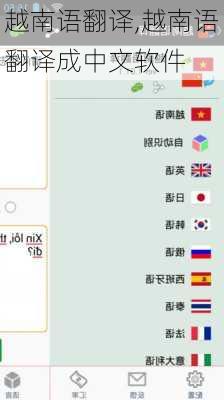 越南语翻译,越南语翻译成中文软件