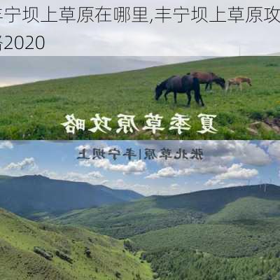 丰宁坝上草原在哪里,丰宁坝上草原攻略2020