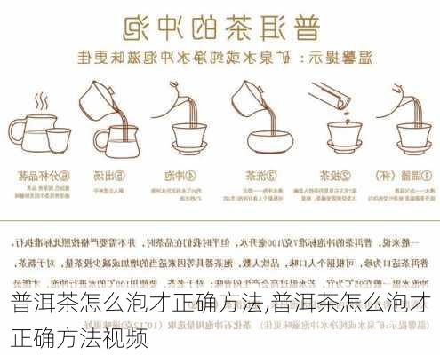 普洱茶怎么泡才正确方法,普洱茶怎么泡才正确方法视频