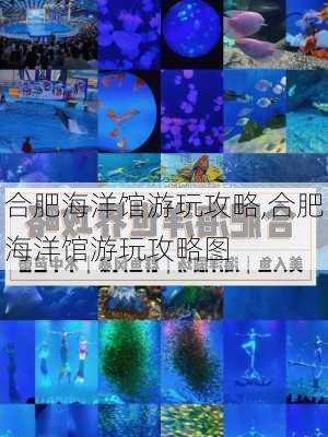 合肥海洋馆游玩攻略,合肥海洋馆游玩攻略图