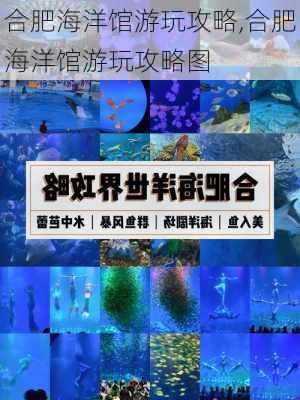 合肥海洋馆游玩攻略,合肥海洋馆游玩攻略图