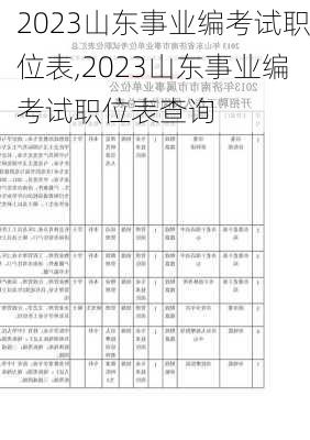 2023山东事业编考试职位表,2023山东事业编考试职位表查询