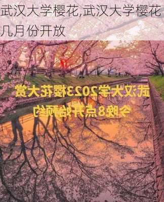 武汉大学樱花,武汉大学樱花几月份开放