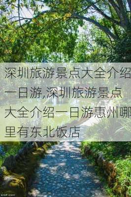 深圳旅游景点大全介绍一日游,深圳旅游景点大全介绍一日游惠州哪里有东北饭店