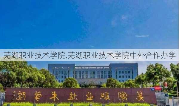 芜湖职业技术学院,芜湖职业技术学院中外合作办学