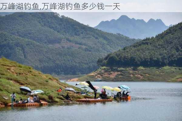 万峰湖钓鱼,万峰湖钓鱼多少钱一天