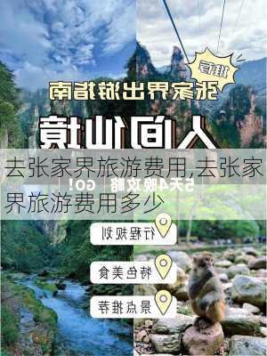 去张家界旅游费用,去张家界旅游费用多少