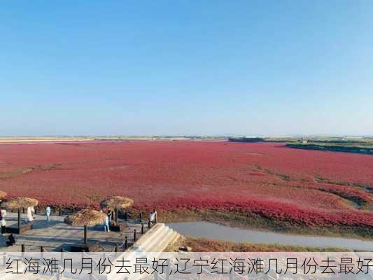 红海滩几月份去最好,辽宁红海滩几月份去最好