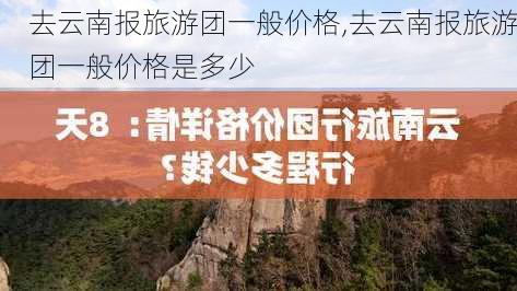 去云南报旅游团一般价格,去云南报旅游团一般价格是多少