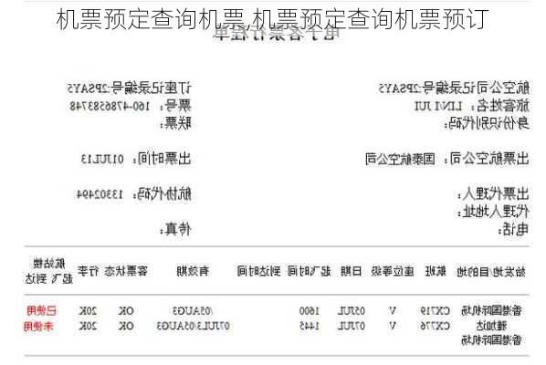 机票预定查询机票,机票预定查询机票预订