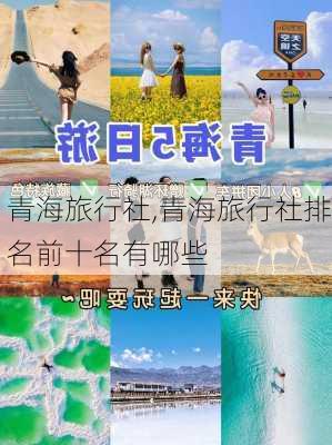 青海旅行社,青海旅行社排名前十名有哪些