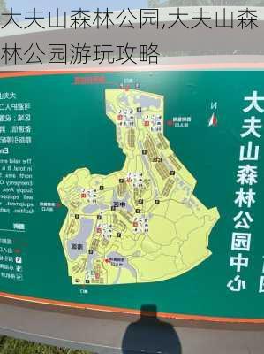 大夫山森林公园,大夫山森林公园游玩攻略