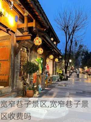 宽窄巷子景区,宽窄巷子景区收费吗