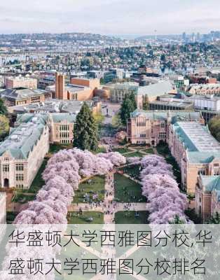 华盛顿大学西雅图分校,华盛顿大学西雅图分校排名