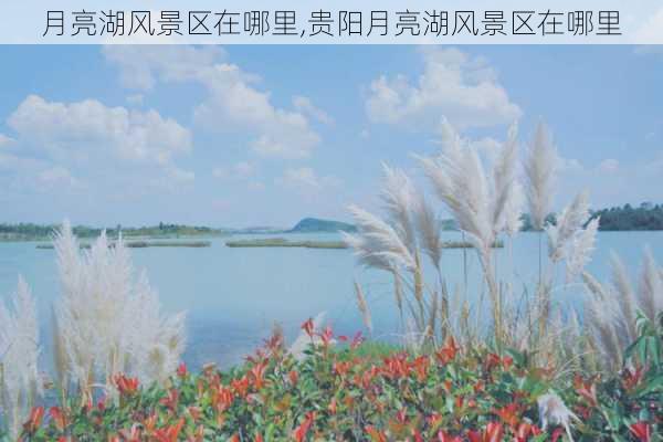 月亮湖风景区在哪里,贵阳月亮湖风景区在哪里