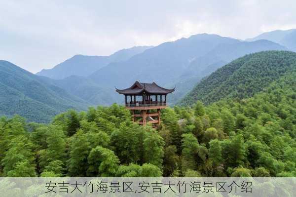 安吉大竹海景区,安吉大竹海景区介绍