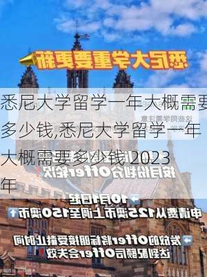 悉尼大学留学一年大概需要多少钱,悉尼大学留学一年大概需要多少钱 2023年