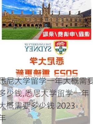 悉尼大学留学一年大概需要多少钱,悉尼大学留学一年大概需要多少钱 2023年