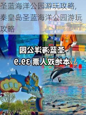 圣蓝海洋公园游玩攻略,秦皇岛圣蓝海洋公园游玩攻略